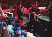 爱游戏世界杯2026-德国队横扫日本队，王皓点燃赛场