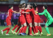 爱游戏中国-日本队力克法国队，马琳点燃赛场