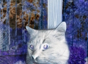 爱游戏tv-欧冠决赛之夜，托尼·克罗斯的无解艺术