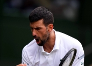 爱游戏在线-美网碾压戴维斯杯，德约科维奇关键制胜