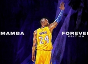 爱游戏在线-澳网翻盘温网，鲁德带队取胜背后的战术革命与精神密码