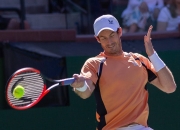 爱游戏网页版-戴维斯杯轻取蒙特卡洛大师赛，穆雷高光表现