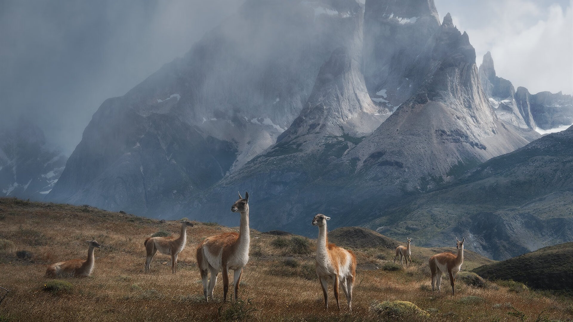 当北境之光刺穿格子军团，克瓦拉茨赫利亚用一己之力重写比赛剧本