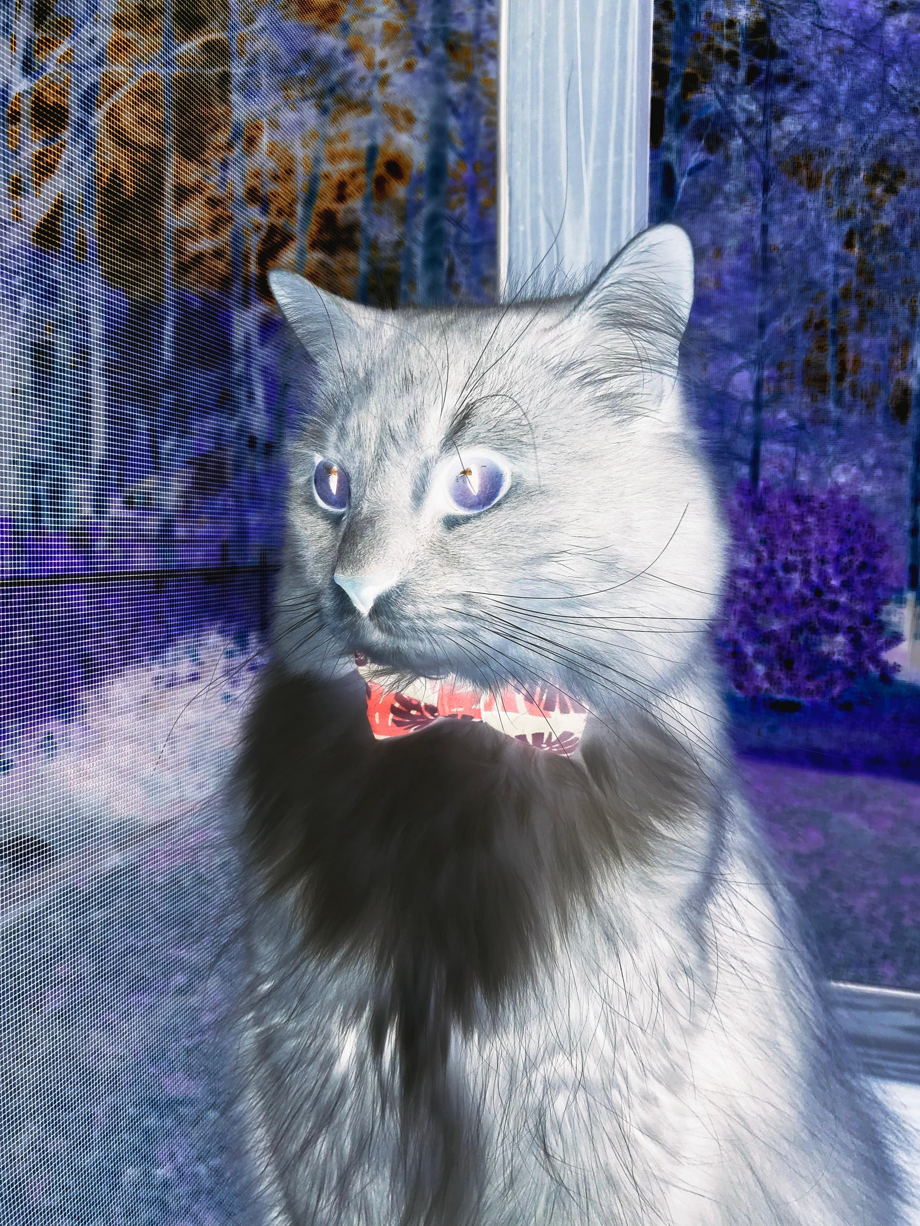 欧冠决赛之夜，托尼·克罗斯的无解艺术