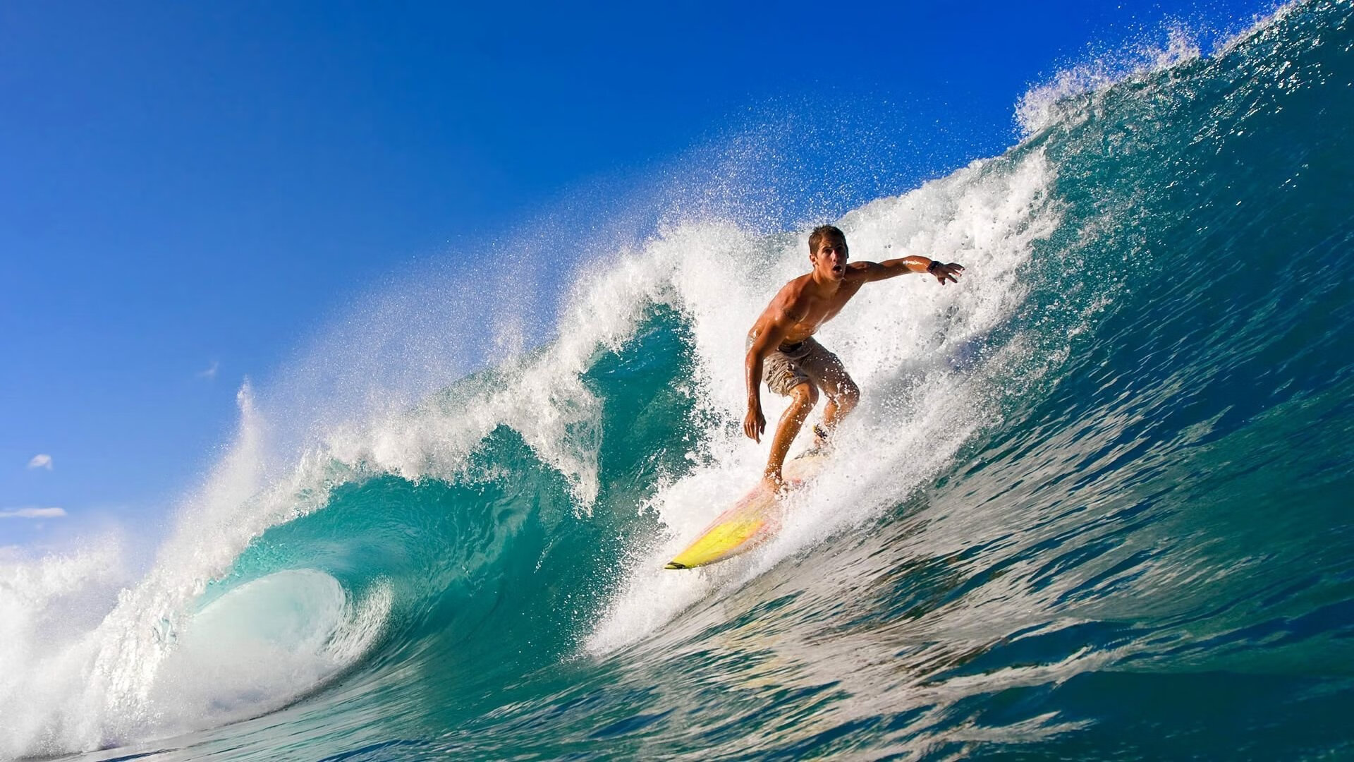 赛道与球场，新赛季的开拓者精神